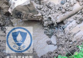 岳阳楼区水管漏水检测公司5